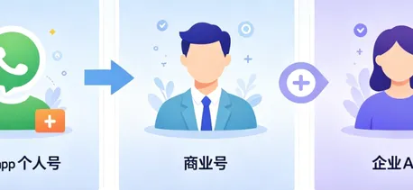 WhatsApp 个人号、商业号、企业 API 三者深度对比